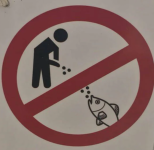 pic 4.png