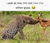 1788357176622.png