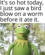 FB_IMG_1786621281007.jpg