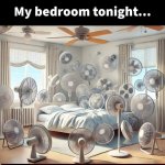FB_IMG_1786296049854.jpg