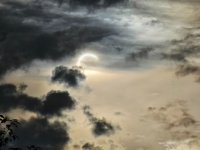 20260812_190338.jpg