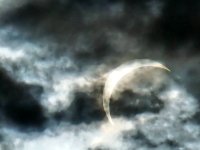 20260812_185954.jpg