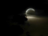 20260812_190335.jpg