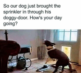 1790853632438.png