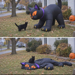 1791298096031.png
